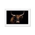Picture of Dixie, the Bull   _GroupedProduct_Rectangle_Landscape_Photography _GroupedProduct_Rectangle_Landscape_Framed_Matted_