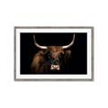Picture of Dixie, the Bull   _GroupedProduct_Rectangle_Landscape_Photography _GroupedProduct_Rectangle_Landscape_Framed_Matted_