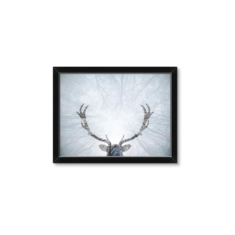 Picture of Forest Stag _GroupedProduct_Rectangle_Landscape_Photography _GroupedProduct_Rectangle_Landscape_Framed_Matted_