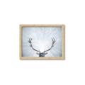 Picture of Forest Stag _GroupedProduct_Rectangle_Landscape_Photography _GroupedProduct_Rectangle_Landscape_Framed_Matted_
