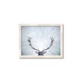 Picture of Forest Stag _GroupedProduct_Rectangle_Landscape_Photography _GroupedProduct_Rectangle_Landscape_Framed_Matted_