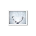 Picture of Forest Stag _GroupedProduct_Rectangle_Landscape_Photography _GroupedProduct_Rectangle_Landscape_Framed_Matted_