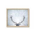 Picture of Forest Stag _GroupedProduct_Rectangle_Landscape_Photography _GroupedProduct_Rectangle_Landscape_Framed_Matted_