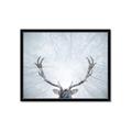 Picture of Forest Stag _GroupedProduct_Rectangle_Landscape_Photography _GroupedProduct_Rectangle_Landscape_Framed_Matted_