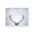 Picture of Forest Stag _GroupedProduct_Rectangle_Landscape_Photography _GroupedProduct_Rectangle_Landscape_Framed_Matted_