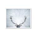 Picture of Forest Stag _GroupedProduct_Rectangle_Landscape_Photography _GroupedProduct_Rectangle_Landscape_Framed_Matted_