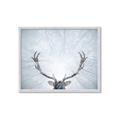 Picture of Forest Stag _GroupedProduct_Rectangle_Landscape_Photography _GroupedProduct_Rectangle_Landscape_Framed_Matted_