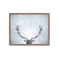 Picture of Forest Stag _GroupedProduct_Rectangle_Landscape_Photography _GroupedProduct_Rectangle_Landscape_Framed_Matted_