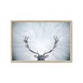 Picture of Forest Stag _GroupedProduct_Rectangle_Landscape_Photography _GroupedProduct_Rectangle_Landscape_Framed_Matted_