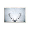 Picture of Forest Stag _GroupedProduct_Rectangle_Landscape_Photography _GroupedProduct_Rectangle_Landscape_Framed_Matted_