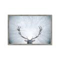 Picture of Forest Stag _GroupedProduct_Rectangle_Landscape_Photography _GroupedProduct_Rectangle_Landscape_Framed_Matted_