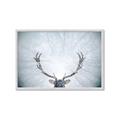 Picture of Forest Stag _GroupedProduct_Rectangle_Landscape_Photography _GroupedProduct_Rectangle_Landscape_Framed_Matted_
