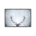 Picture of Forest Stag _GroupedProduct_Rectangle_Landscape_Photography _GroupedProduct_Rectangle_Landscape_Framed_Matted_