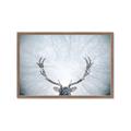 Picture of Forest Stag _GroupedProduct_Rectangle_Landscape_Photography _GroupedProduct_Rectangle_Landscape_Framed_Matted_