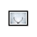 Picture of Forest Stag _GroupedProduct_Rectangle_Landscape_Photography _GroupedProduct_Rectangle_Landscape_Framed_Matted_