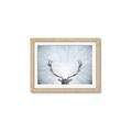 Picture of Forest Stag _GroupedProduct_Rectangle_Landscape_Photography _GroupedProduct_Rectangle_Landscape_Framed_Matted_