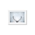 Picture of Forest Stag _GroupedProduct_Rectangle_Landscape_Photography _GroupedProduct_Rectangle_Landscape_Framed_Matted_