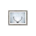 Picture of Forest Stag _GroupedProduct_Rectangle_Landscape_Photography _GroupedProduct_Rectangle_Landscape_Framed_Matted_