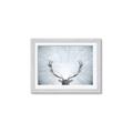 Picture of Forest Stag _GroupedProduct_Rectangle_Landscape_Photography _GroupedProduct_Rectangle_Landscape_Framed_Matted_