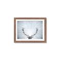 Picture of Forest Stag _GroupedProduct_Rectangle_Landscape_Photography _GroupedProduct_Rectangle_Landscape_Framed_Matted_