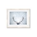 Picture of Forest Stag _GroupedProduct_Rectangle_Landscape_Photography _GroupedProduct_Rectangle_Landscape_Framed_Matted_
