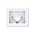 Picture of Forest Stag _GroupedProduct_Rectangle_Landscape_Photography _GroupedProduct_Rectangle_Landscape_Framed_Matted_