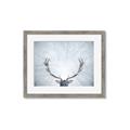 Picture of Forest Stag _GroupedProduct_Rectangle_Landscape_Photography _GroupedProduct_Rectangle_Landscape_Framed_Matted_