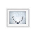 Picture of Forest Stag _GroupedProduct_Rectangle_Landscape_Photography _GroupedProduct_Rectangle_Landscape_Framed_Matted_