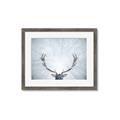 Picture of Forest Stag _GroupedProduct_Rectangle_Landscape_Photography _GroupedProduct_Rectangle_Landscape_Framed_Matted_