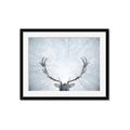 Picture of Forest Stag _GroupedProduct_Rectangle_Landscape_Photography _GroupedProduct_Rectangle_Landscape_Framed_Matted_