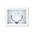 Picture of Forest Stag _GroupedProduct_Rectangle_Landscape_Photography _GroupedProduct_Rectangle_Landscape_Framed_Matted_