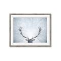 Picture of Forest Stag _GroupedProduct_Rectangle_Landscape_Photography _GroupedProduct_Rectangle_Landscape_Framed_Matted_