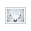 Picture of Forest Stag _GroupedProduct_Rectangle_Landscape_Photography _GroupedProduct_Rectangle_Landscape_Framed_Matted_