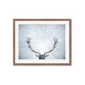 Picture of Forest Stag _GroupedProduct_Rectangle_Landscape_Photography _GroupedProduct_Rectangle_Landscape_Framed_Matted_