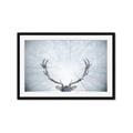 Picture of Forest Stag _GroupedProduct_Rectangle_Landscape_Photography _GroupedProduct_Rectangle_Landscape_Framed_Matted_