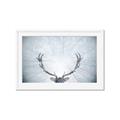 Picture of Forest Stag _GroupedProduct_Rectangle_Landscape_Photography _GroupedProduct_Rectangle_Landscape_Framed_Matted_