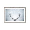 Picture of Forest Stag _GroupedProduct_Rectangle_Landscape_Photography _GroupedProduct_Rectangle_Landscape_Framed_Matted_
