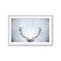 Picture of Forest Stag _GroupedProduct_Rectangle_Landscape_Photography _GroupedProduct_Rectangle_Landscape_Framed_Matted_