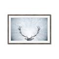 Picture of Forest Stag _GroupedProduct_Rectangle_Landscape_Photography _GroupedProduct_Rectangle_Landscape_Framed_Matted_