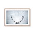 Picture of Forest Stag _GroupedProduct_Rectangle_Landscape_Photography _GroupedProduct_Rectangle_Landscape_Framed_Matted_