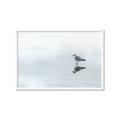 Picture of Frozen Lake _GroupedProduct_Rectangle_Landscape_Photography _GroupedProduct_Rectangle_Landscape_Framed_Matted_