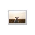Picture of Grazing Sheep  _GroupedProduct_Rectangle_Landscape_Photography _GroupedProduct_Rectangle_Landscape_Framed_Matted_