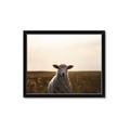 Picture of Grazing Sheep  _GroupedProduct_Rectangle_Landscape_Photography _GroupedProduct_Rectangle_Landscape_Framed_Matted_
