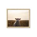 Picture of Grazing Sheep  _GroupedProduct_Rectangle_Landscape_Photography _GroupedProduct_Rectangle_Landscape_Framed_Matted_
