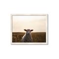 Picture of Grazing Sheep  _GroupedProduct_Rectangle_Landscape_Photography _GroupedProduct_Rectangle_Landscape_Framed_Matted_