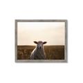 Picture of Grazing Sheep  _GroupedProduct_Rectangle_Landscape_Photography _GroupedProduct_Rectangle_Landscape_Framed_Matted_