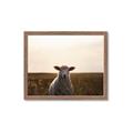 Picture of Grazing Sheep  _GroupedProduct_Rectangle_Landscape_Photography _GroupedProduct_Rectangle_Landscape_Framed_Matted_