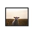 Picture of Grazing Sheep  _GroupedProduct_Rectangle_Landscape_Photography _GroupedProduct_Rectangle_Landscape_Framed_Matted_