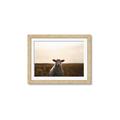 Picture of Grazing Sheep  _GroupedProduct_Rectangle_Landscape_Photography _GroupedProduct_Rectangle_Landscape_Framed_Matted_