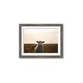 Picture of Grazing Sheep  _GroupedProduct_Rectangle_Landscape_Photography _GroupedProduct_Rectangle_Landscape_Framed_Matted_